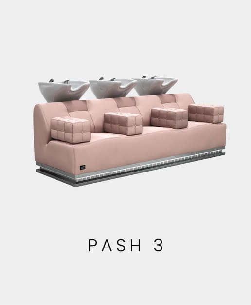 Pash 3